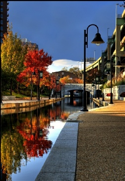 Fall Colors Along The Canal Sky by T A Wilson